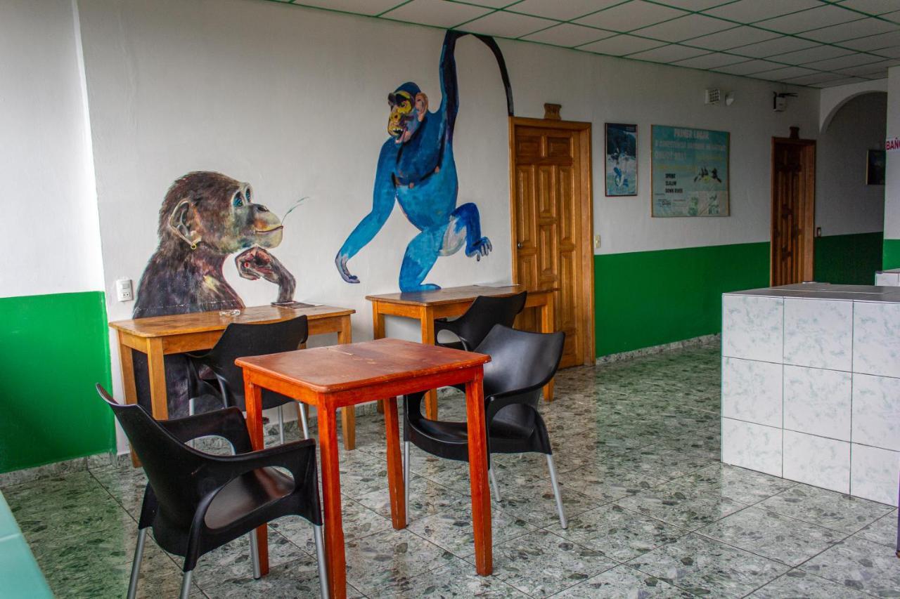 Hostal Limoncocha Tena Εξωτερικό φωτογραφία